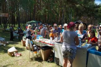 12.06.2016 п.Абан, парк "Горка", День России